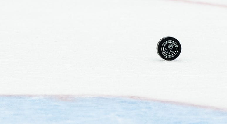 Hockey Puck Hockey Puck