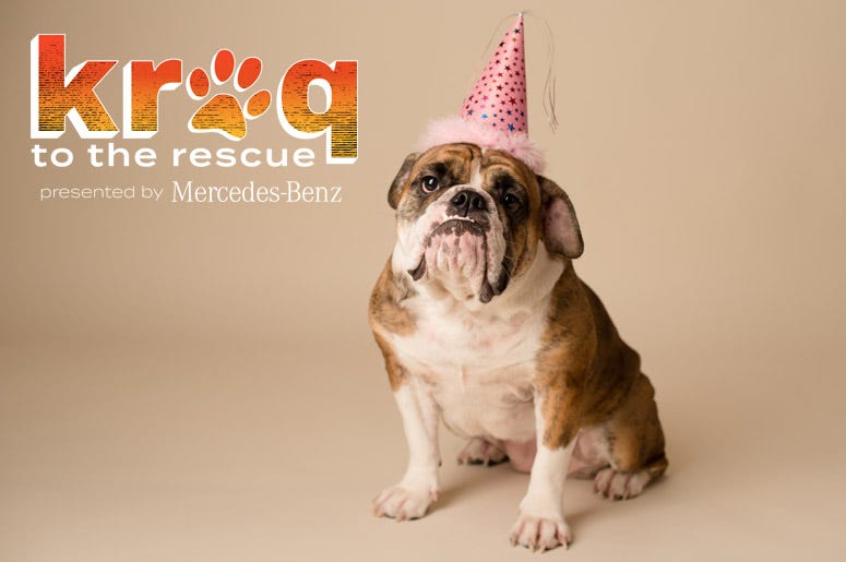 KROQ to the Rescue Adoptiversary