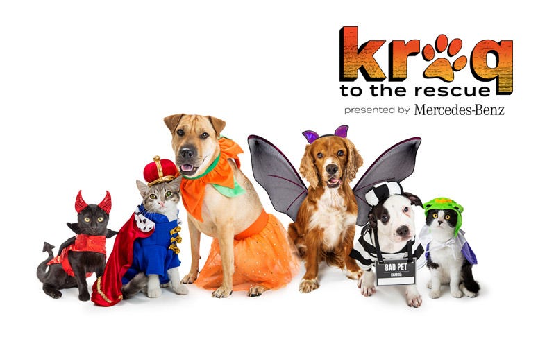 KROQ to the Rescue Pet Costume