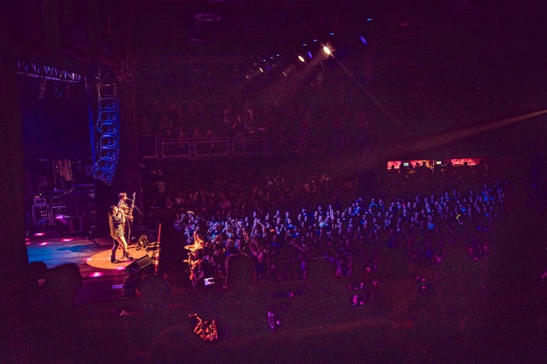 The Struts
