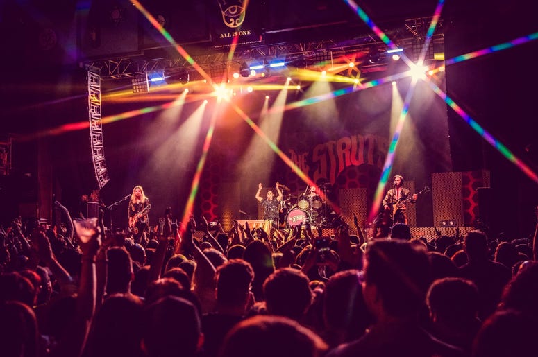 The Struts