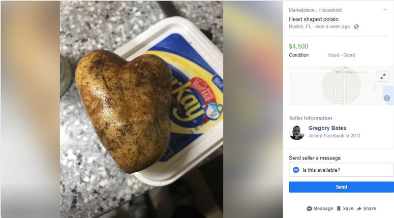 Whats Up With Florida?