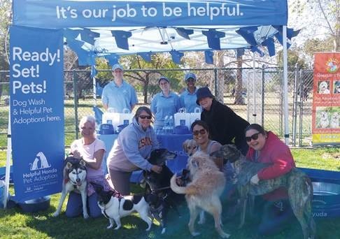 Helpful Honda Pet Adoptions