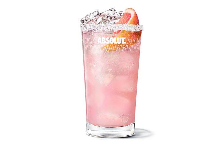 Swedish Paloma