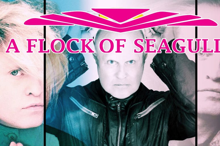 Flock of Seagulls