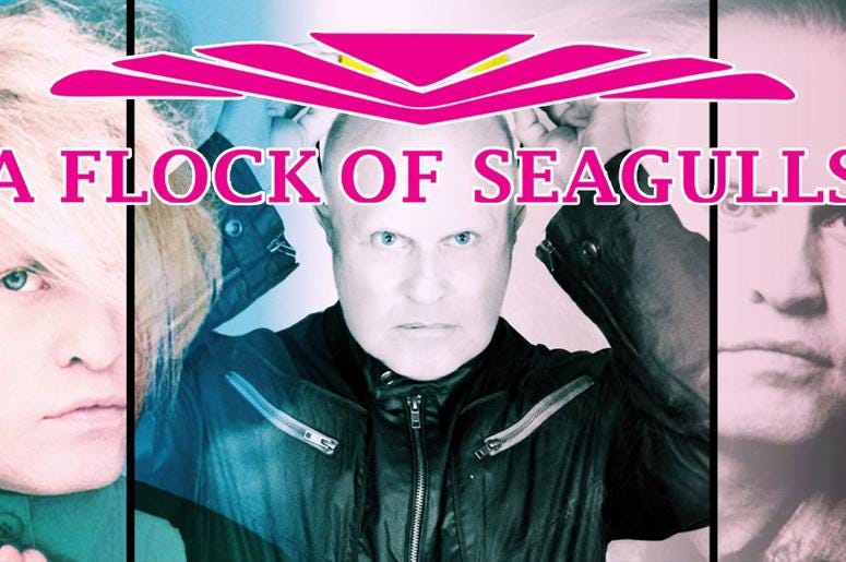 Flock of Seagulls