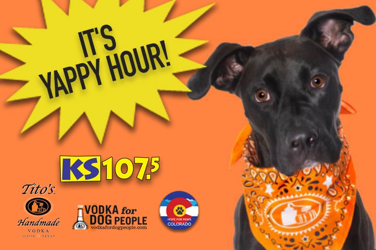 Yappy Hour