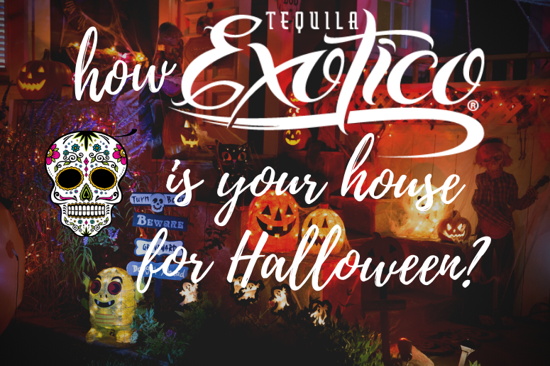 exotico halloween
