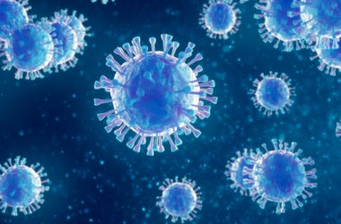 Virus