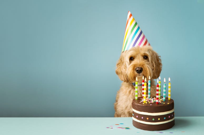 Birthday Image