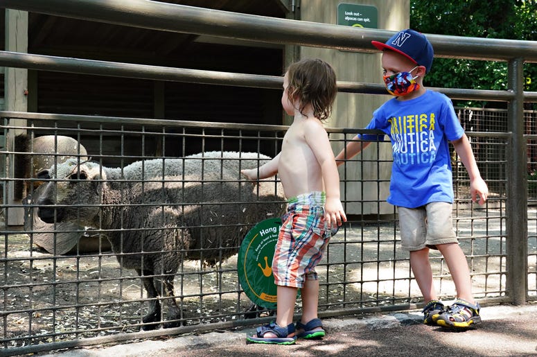 zoo