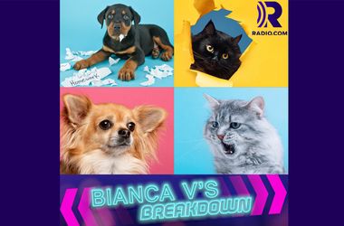 Bianca V's Breakdown: Lifestyle/Society/Cultural