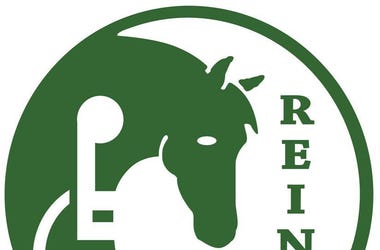 REINS