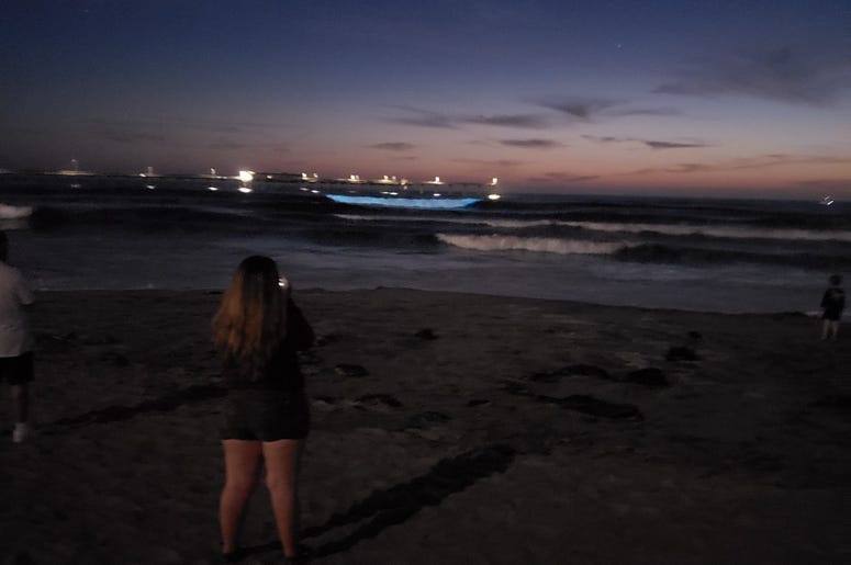Bioluminescence with kurt
