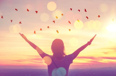 Gratitude Gratitude