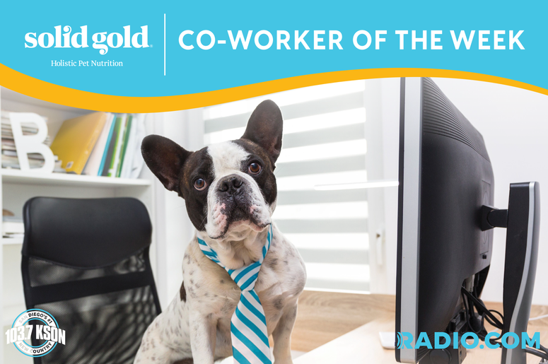 Best co-worker