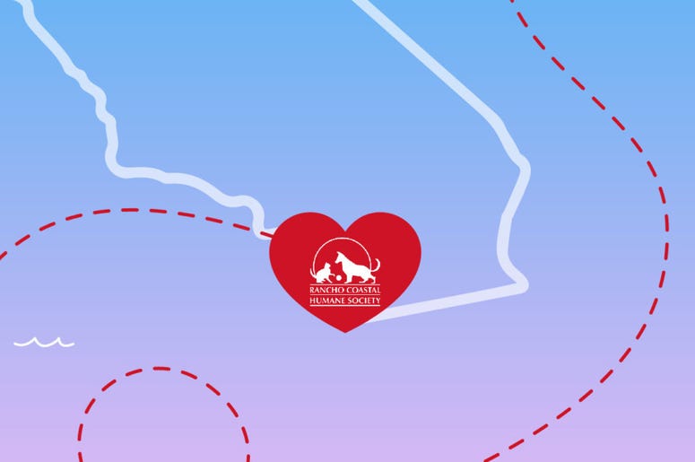 Love Across The World