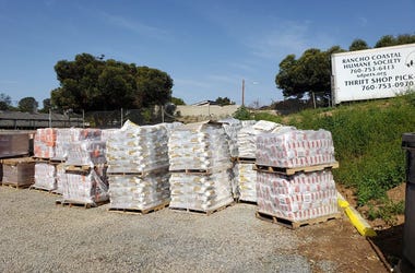 Pet Food Delivery