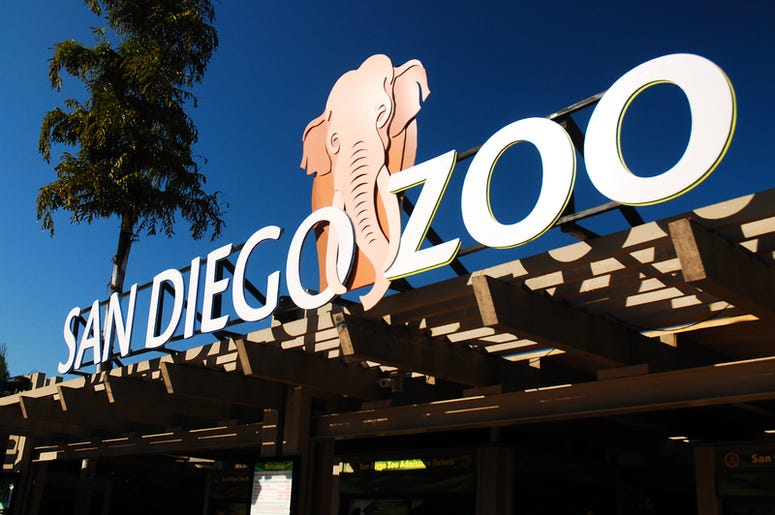 San Diego Zoo San Diego Zoo