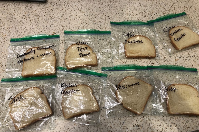 bread experiment