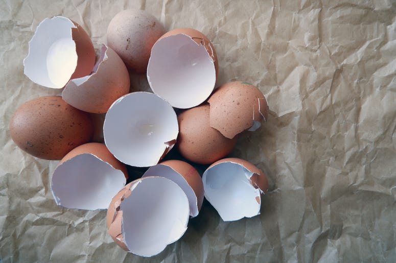 broken egg shell
