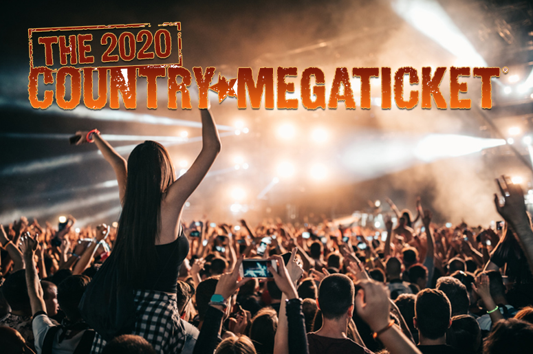 megaticket 2020 generic