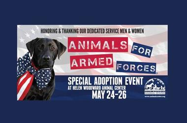 Armed Forces Foundation >> Armed Forces Foundation Kson Fm 103 7 Armed Forces Foundation >> Armed Forces Foundation Kson Fm 103 7
