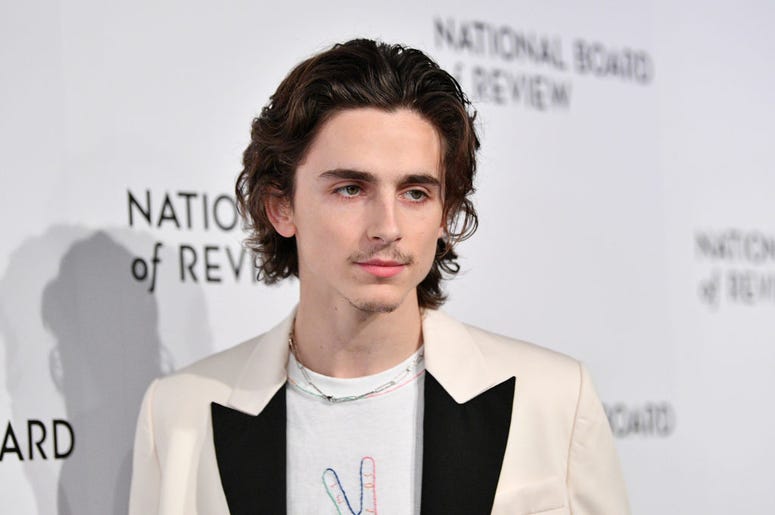 timothee chalamet