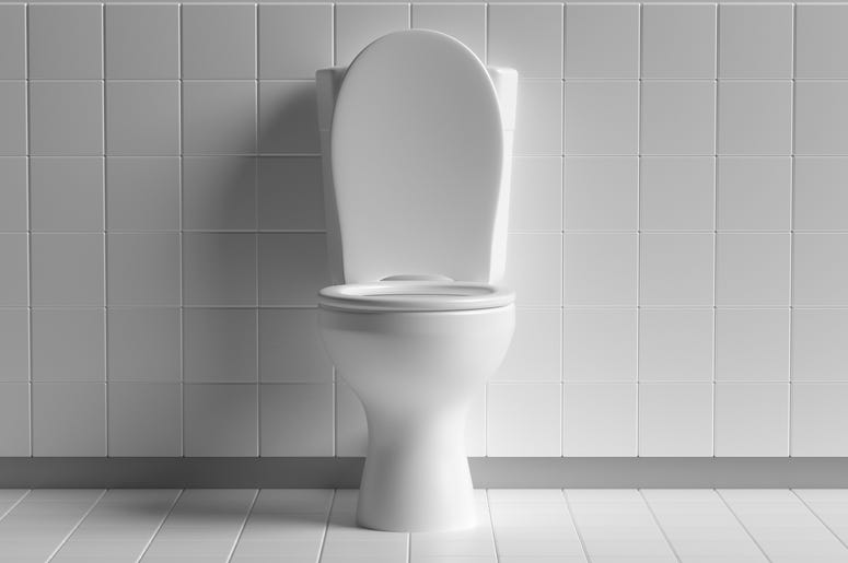 toilet