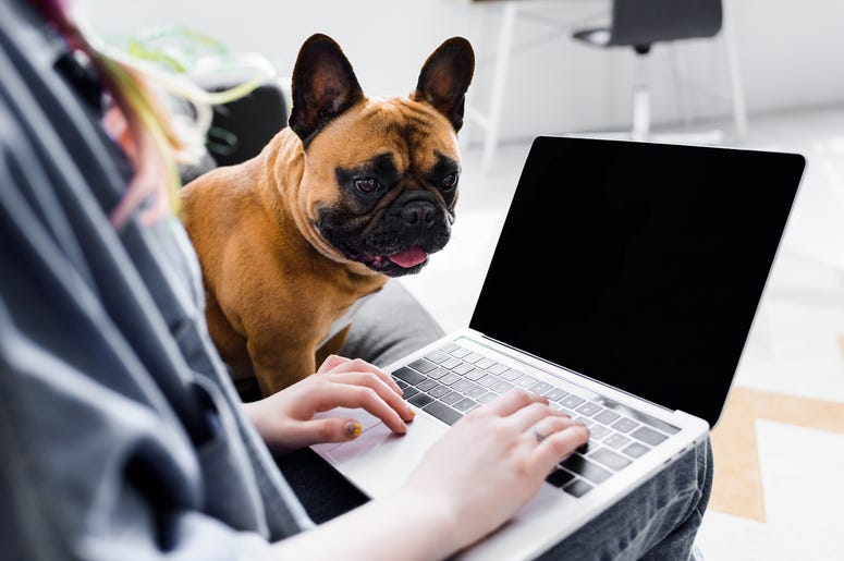 work from home