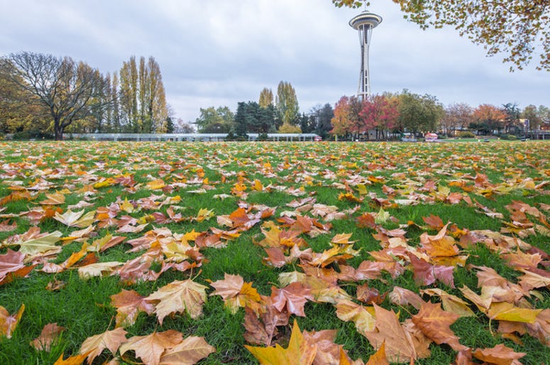 Empty Seattle Center Empty Seattle Center
