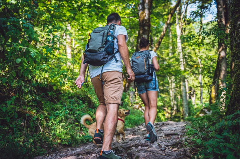 Couple hiking in the forest Couple hiking in the forest