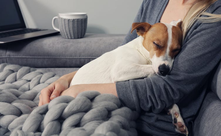 Cuddling with a dog Cuddling with a dog