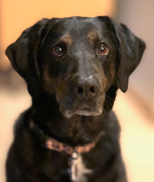 Hazel's beautiful face Hazel's beautiful face