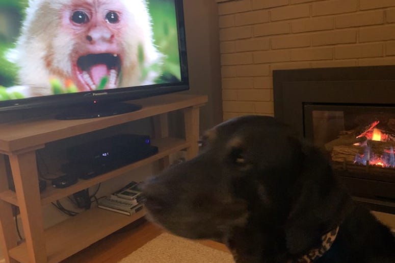 Watching a movie Watching a movie