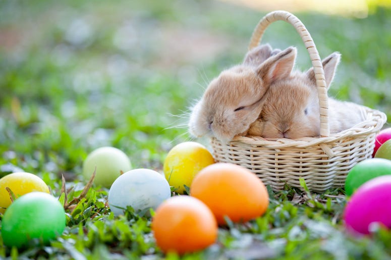 Easter Easter