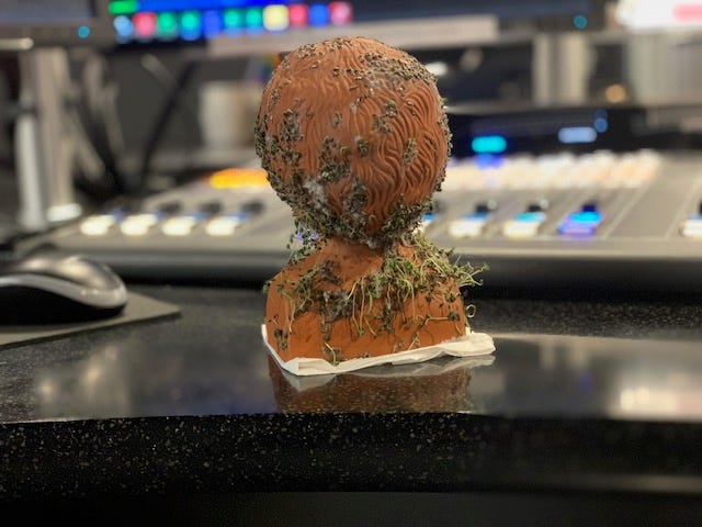 Estelle Getty Chia Pet Estelle Getty Chia Pet
