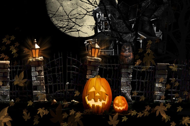 Haunted House Haunted House