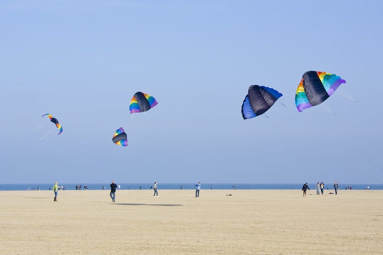 Kites at the beach Kites at the beach