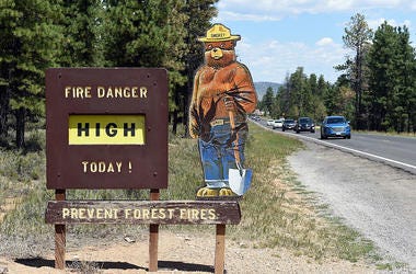 Prevent Wildfires Smokey Bear