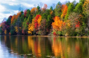 Fall foliage Fall foliage