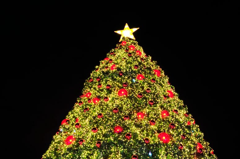 Christmas tree Christmas tree