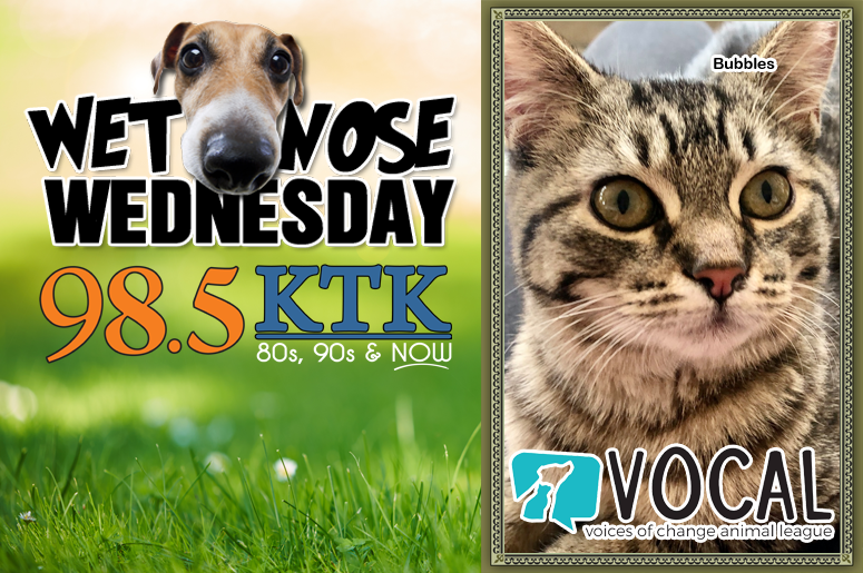 Wet Nose Wednesday Bubbles