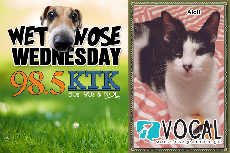 Wet Nose Wednesday-2.12.20 Aioli