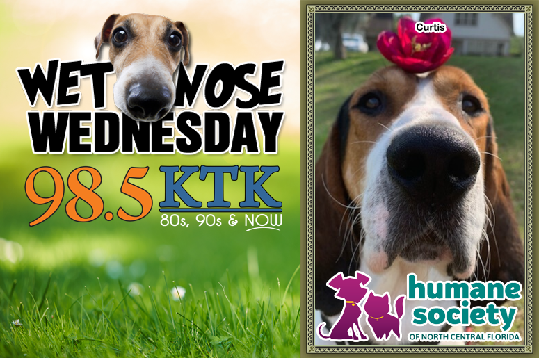 Wet Nose Wednesday-Curtis