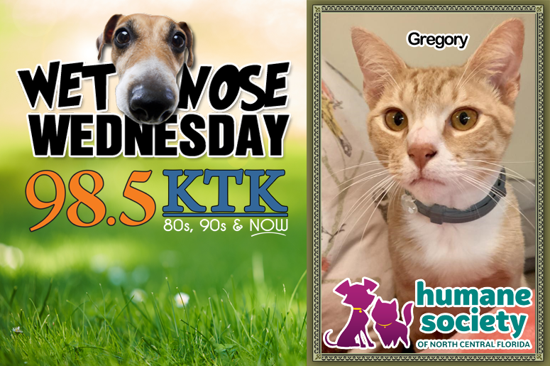 Wet Nose Wednesday 12.4.19