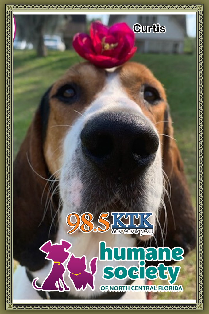 Wet Nose Wednesday-Curtis