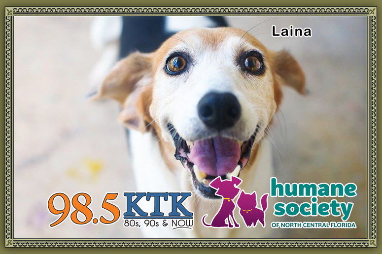 Wet Nose Wednesday Laina
