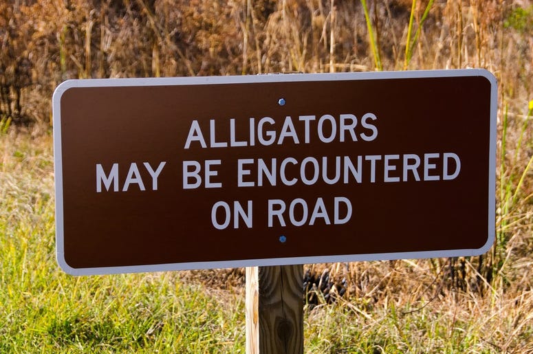 Gators Gators
