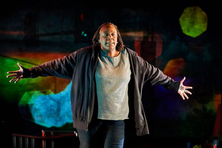 Until The Flood By Dael Orlandersmith